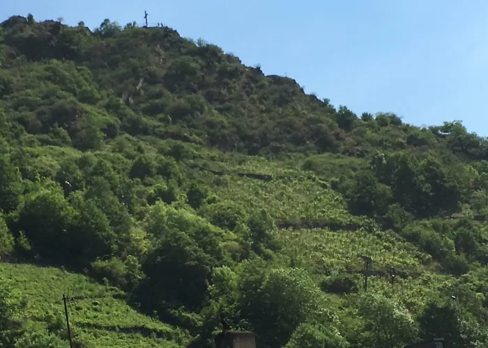 Апартаменты Haus Dana Кохем